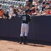 Yankee Stadium Allows Regular Fans To Observe Batting Practice